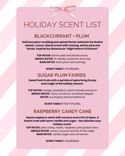 Holiday Favourites Gift Set